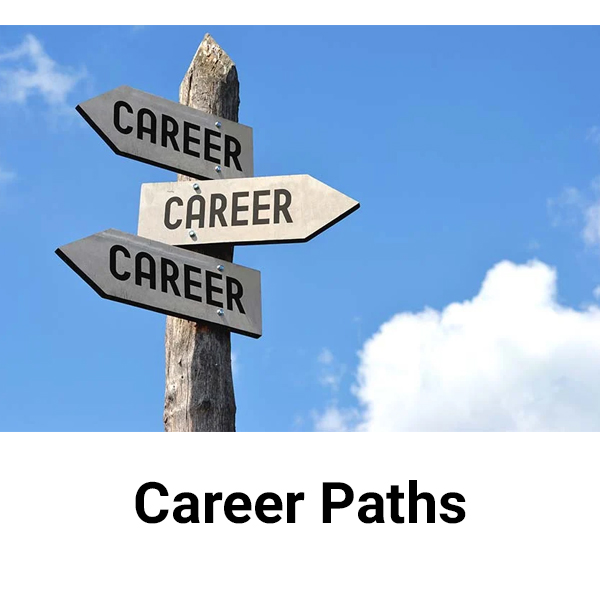 Career Paths